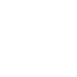 npm Logo